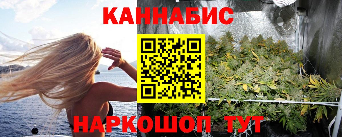 Конопля MAZAR  Вход с VPN  Бошки Шишки сатива  Бошки Шишки сатива  Минусинск  Каннабис гибрид 